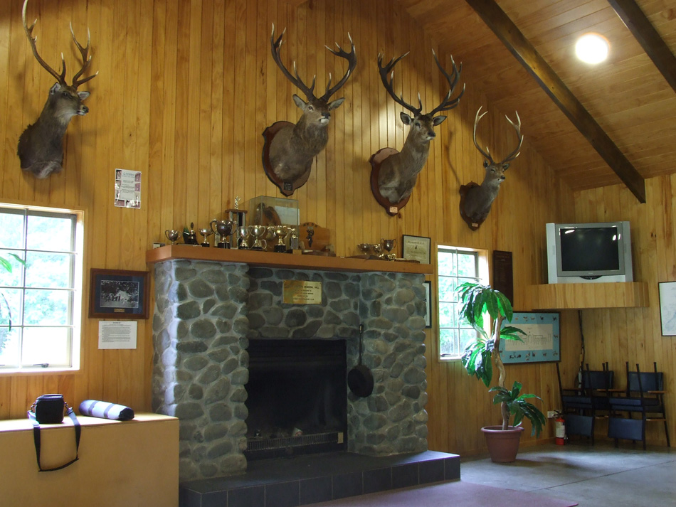 Fireplace Fireplace